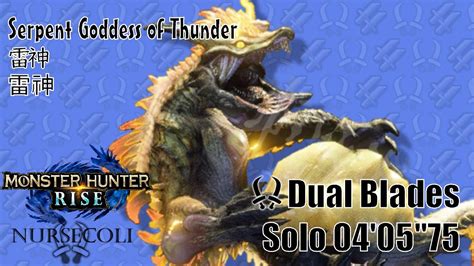 Mhrise 雷神龍ナルハタタヒメthunder Serpent Narwa 双剣dual Blades Solo 040575