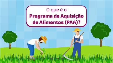 Conhe A O Programa De Aquisi O De Alimentos Paa Youtube