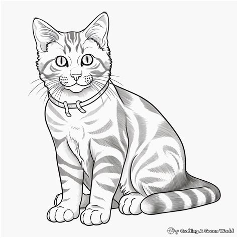 Tabby Cat Coloring Pages Free Printable