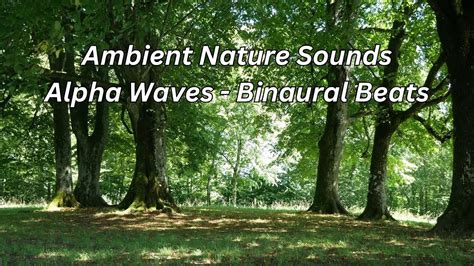 Ambient Nature Sounds Alpha Waves Hz Binaural Beats Relaxation