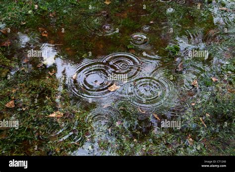 Falling In Puddle High Resolution Stock Photography And Images Alamy