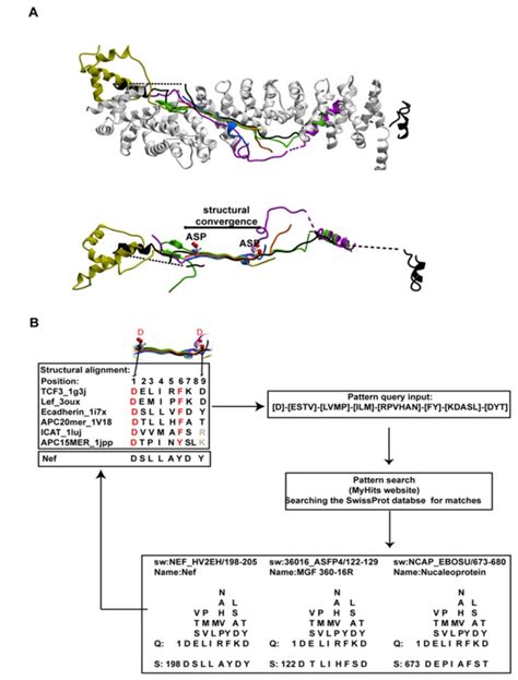 A Upper Panel Superimposition Of Known Ligands Of β Catenin As Bound Download Scientific