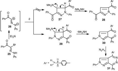 Scheme 8. Synthesis of pyrazolo pyridazine derivative. to a nitrogen ...