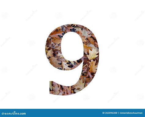 Number Of The Alphabet Made With Autumn Brown Oak Leaves Stock Photo