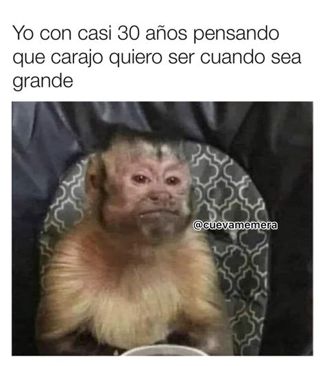 Yo con casi 30 años pensando que carajo quiero ser cuando sea grande