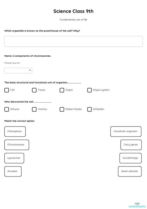 Science Class 9th Interactive Worksheet Topworksheets