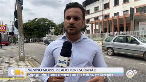 Menino de sete anos morre após ser picado por escorpião em Sorocaba