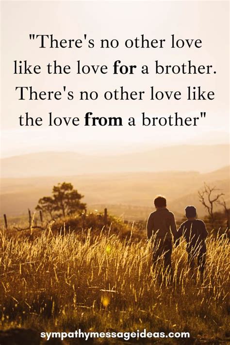 40 Inspirational Quotes For Loss Of Brother Safe Passage 47 Off