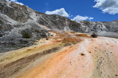 Passing Through Jupiter Terrace Spring Of The Mammoth Hot Springs