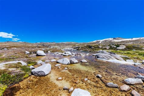 Premium Photo The Snowy River Near Seamans Hut On A Summer S Day In