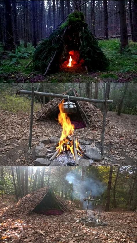 Survival shelters 15 best designs and how to build them – Artofit