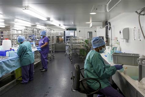 One French Hospital’s Battle Against the Coronavirus | The Nation