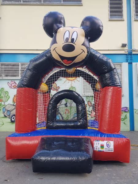 Pula Pula E Piscina De Bolinha Mickey