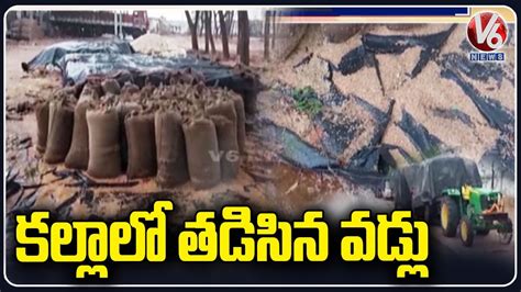 Warangal Rains Update Paddy Grains Submerged In Rain Water V6 News