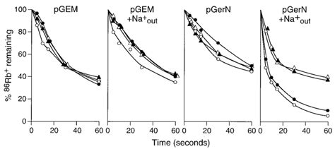 Effects Of Combinations Of Energization Na In Trans And Cccp On Download Scientific Diagram