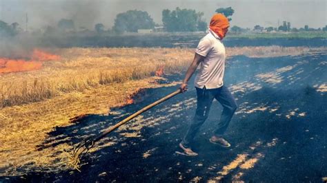 Stubble Burning Incidents In Haryana Republic World