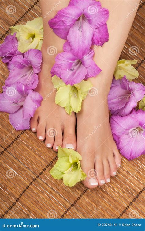 Pedicure Manicure Spa stock image. Image of therapy, nail - 23748141