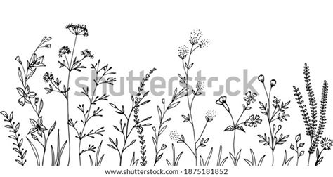 Black Silhouettes Grass Flowers Herbs Stock Vector Royalty Free 1875181852 Shutterstock