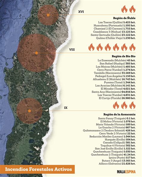 Incendios Forestales En Chile El Mapa De Los Focos Activos