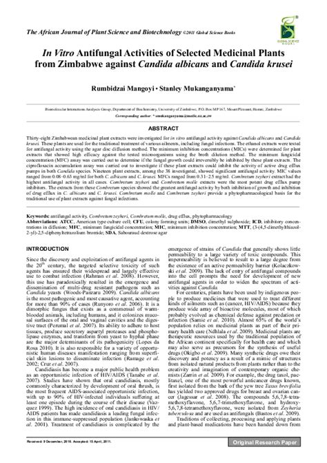 In Vitro Antifungal Activities Of Selected Medicinal Plants From