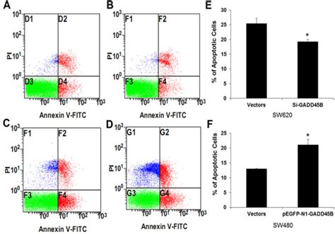 Shows Induction Of Apoptosis In Human Crc Cell Lines A Apoptosis