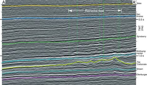 Arbitrary D Seismic Line Showing The Paleozoic Section In And Around