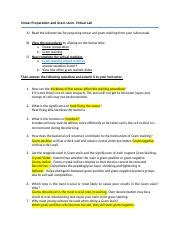 Smear Preparation And Gram Staining Virtual Lab Procedures And