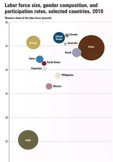 美国国家统计局公布中国女人大数据劳动