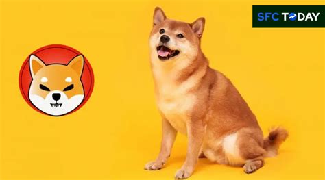 Shiba Inu Shib Burn Rate Skyrockets Close To Burning Over