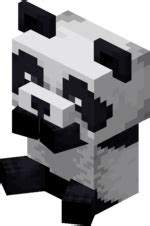 Panda – Official Minecraft Wiki