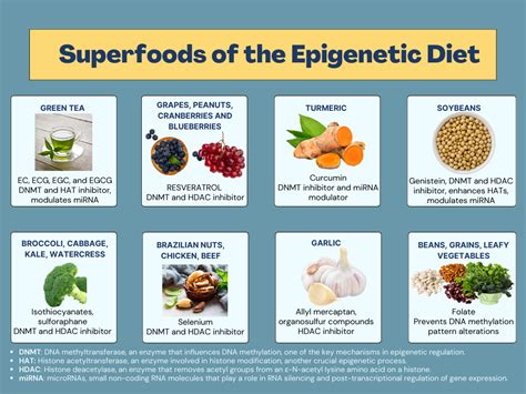 Nutrition and Epigenetics: Your Anti-Aging Secret Weapon