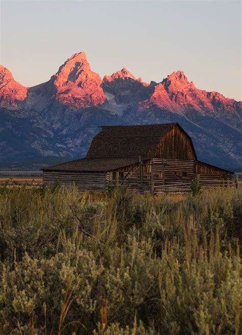 3,000+ Best Barn Owl Photos · 100% Free Download · Pexels Stock Photos