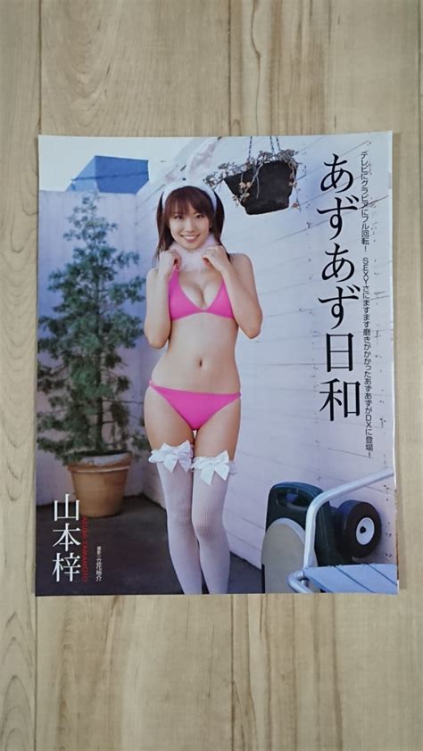 【やや傷や汚れあり】同梱可！ 山本梓 雑誌切り抜き 9p ③の落札情報詳細 ヤフオク落札価格検索 オークフリー