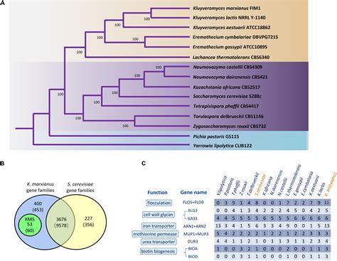 Frontiers Comparative Genomic And Transcriptomic Analysis Reveals