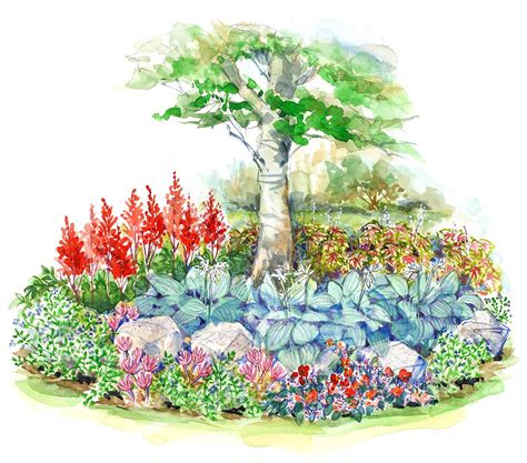 This Small-Space Shade Garden Plan Provides Three Seasons of Color