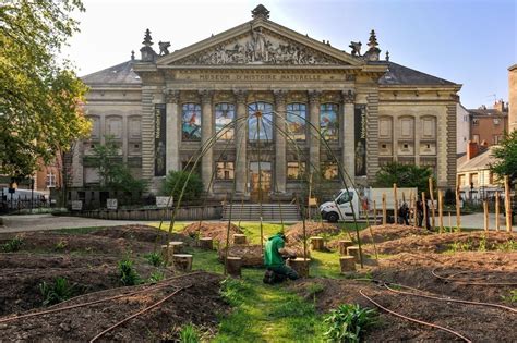 Le Mus Um D Histoire Naturelle De Nantes D Veloppe Son Accueil