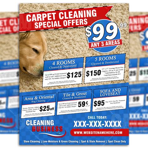 Carpet Cleaning Flyer 12 Template Country