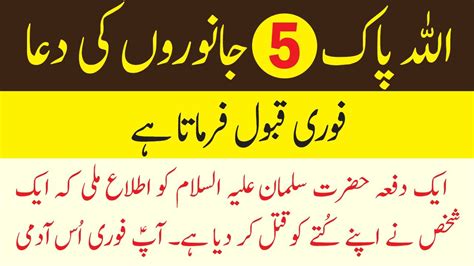 Allah 5 Janwaro Ki Dua Foran Qabool Karta Hai Islamic Story New