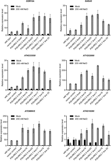 Heterologous Overexpression Of Poplar Snrk Genes Enhanced Salt Stress