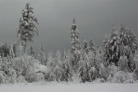 How to Protect Your Batteries from Freezing in Cold Weather - Practical ...