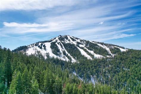 Mt. Ashland Ski Area – Skiing and Snowboarding in Southern Oregon