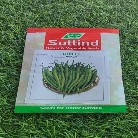 Green Suttind Chilli Jwala Seed Packaging Type Packet At Rs 400 Kg In