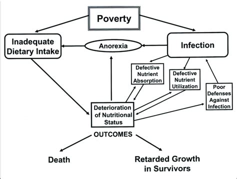 Causes Of Poverty Diagram