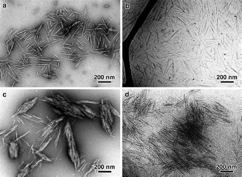 Tem Micrographs Of M G Cncs Prepared From Aqueous Suspensions At