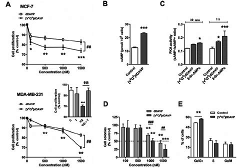 Effect Of V 4 Q 5 DDAVP On In Vitro Growth Of Human Breast Cancer