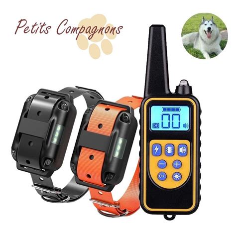 Collier De Dressage Avec T L Commande Rechargeable Usb Pour Chien