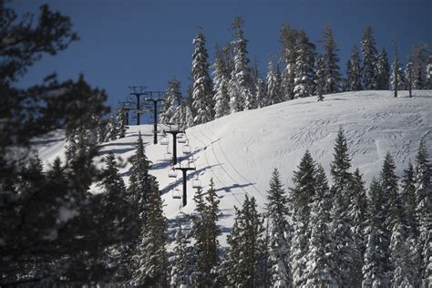 Boreal Ski Resort Snow Report 2024 - Carlin Roselin