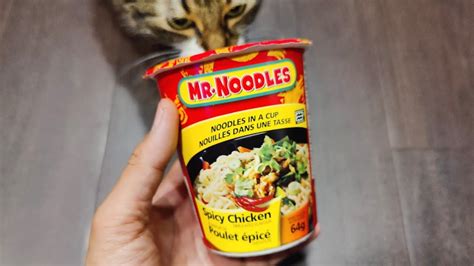 Mr Noodles Noodles In A Cup Spicy Chicken 64 G Extra Foods Atelier