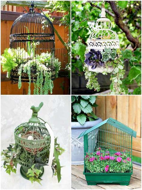 Garden Art Diy Tips For Making A Birdcage Planter