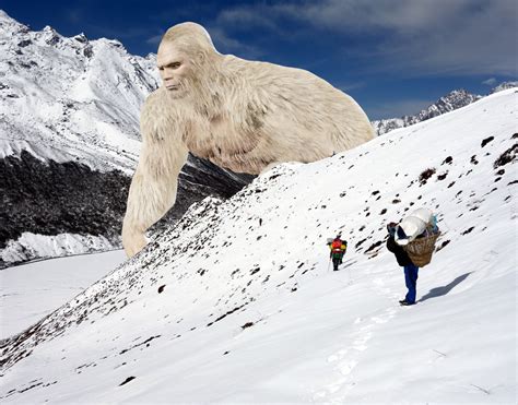 Yeti Few Myths About Yeti Or Abominable Snowman Dgtl Anandabazar